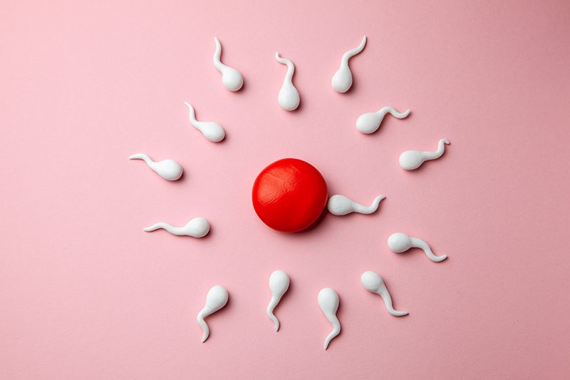 Female Fertility Test - ZenDXB
